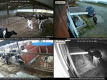 Überwachungsbilder der FarmCam HD von Luda.Farm.