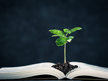Pflanze wächst in einem aufgeklappten Buch.