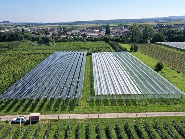 Luftaufnahme einer Agri-Photovoltaikanlage mit Apfelanbau