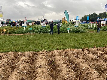 Einzelne Kartoffel-Parzellen und Stände im Hintergrund bei der PotatoEurope 2022