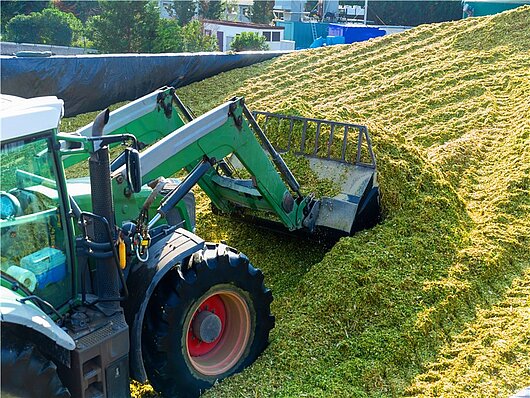 Ein Fendt-Traktor verdichtet ein Silo