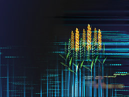 Grafische Animation in dunkelblau mit Weizen