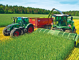 Ein Mähdrescher ist im Einsatz, während ein Traktor mit Anhänger nebenher fährt