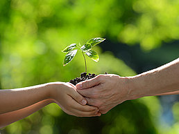 Zwei Menschen halten eine Pflanze mit Erde in der Hand.
