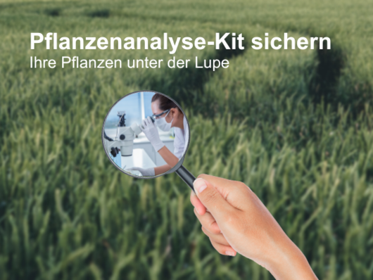 Pflanzenanalyse mit NEXT Farming